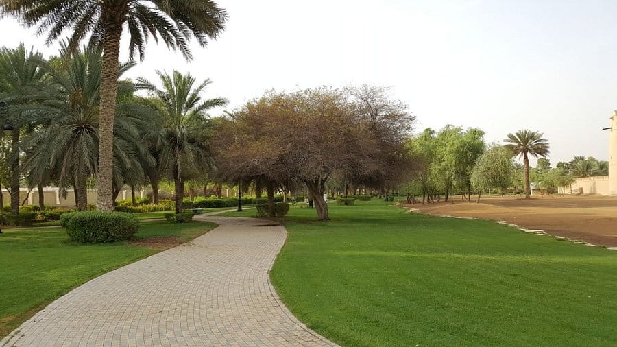 Al Jini Park