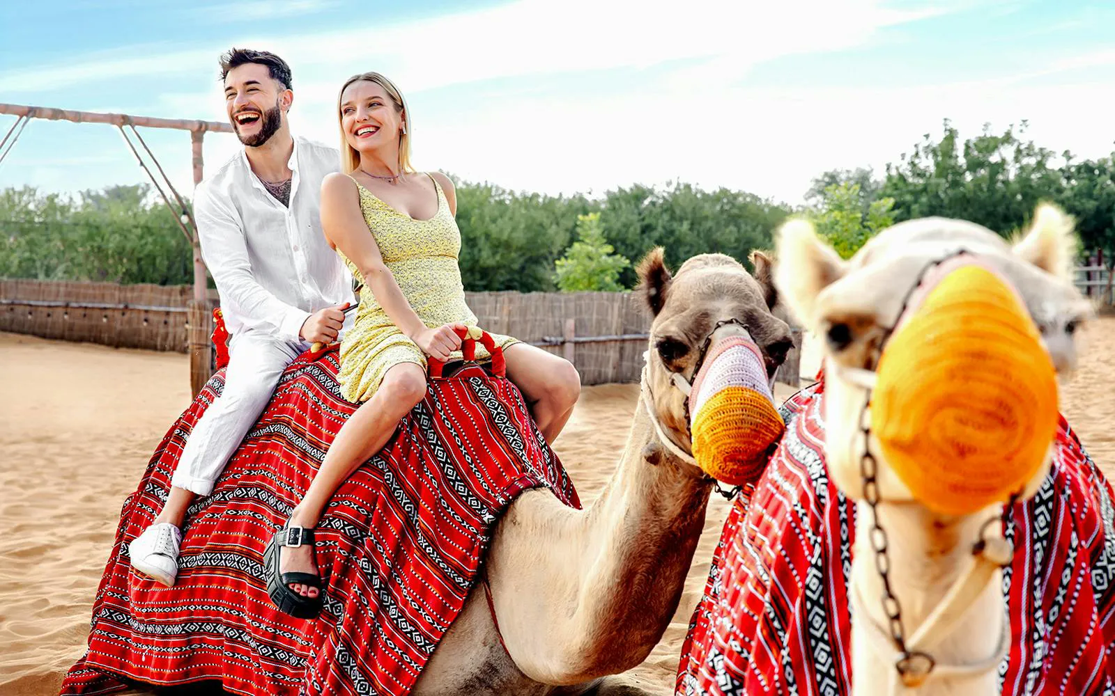 Camel Tour Dubai 1 - Arabian Desert Safari