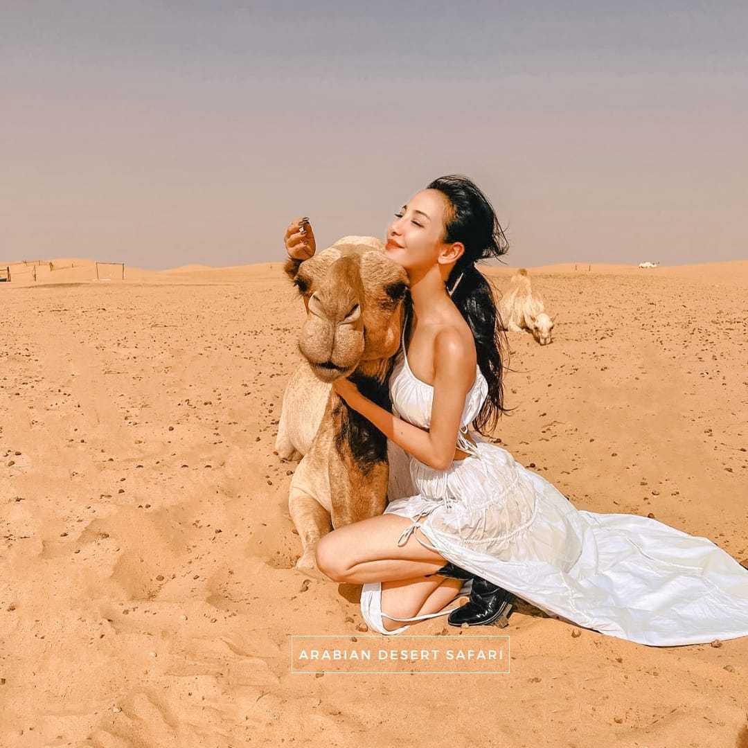 Desert Safari Dubai With Camel - Arabian Desert Safari