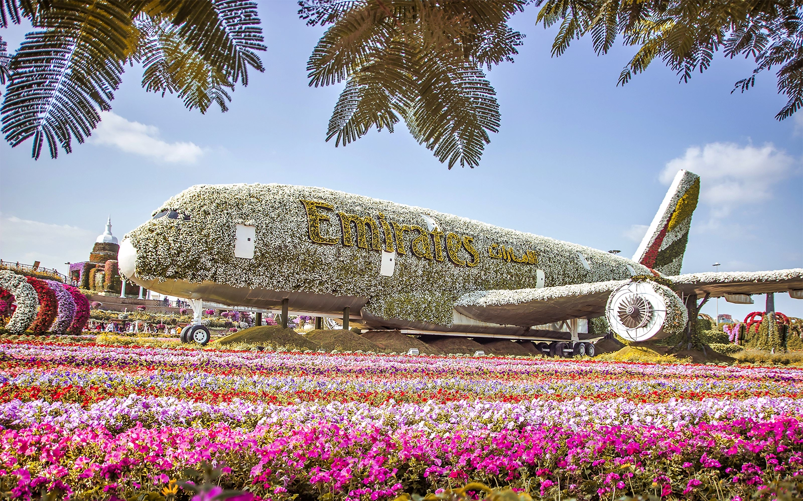 Discover Dubai Miracle Garden: The World’s Largest Flower Garden