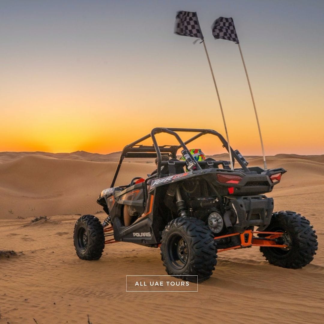 Polaris RZR1000 Single Seater - Image 3