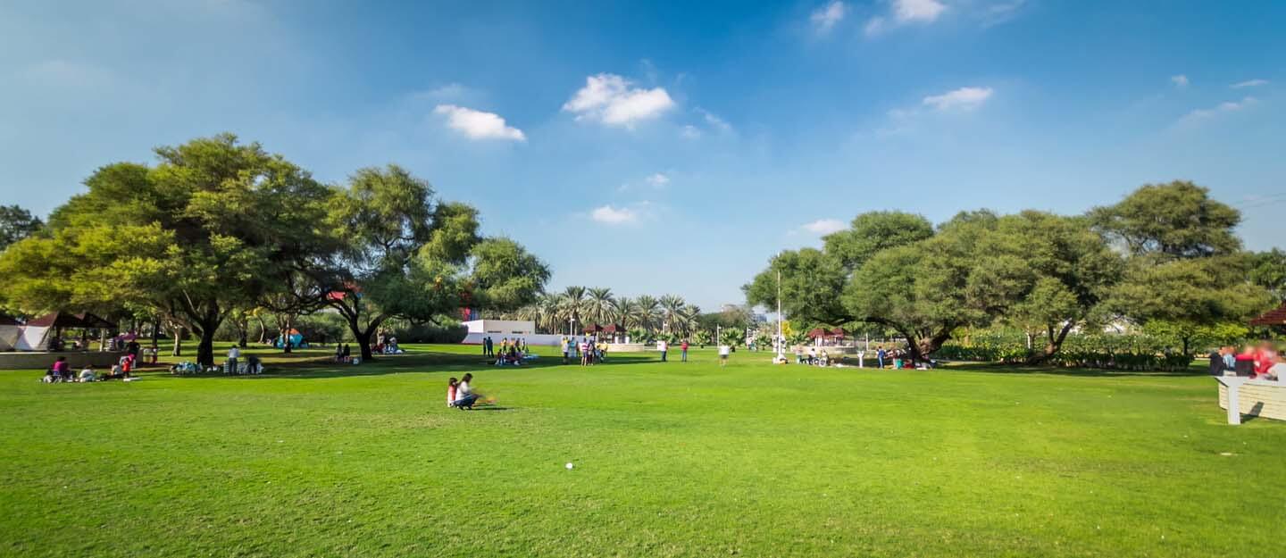 Things To Do In Creek Park Dubai
