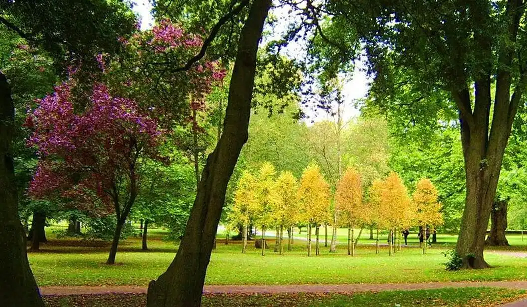 Al Rashidiya Park