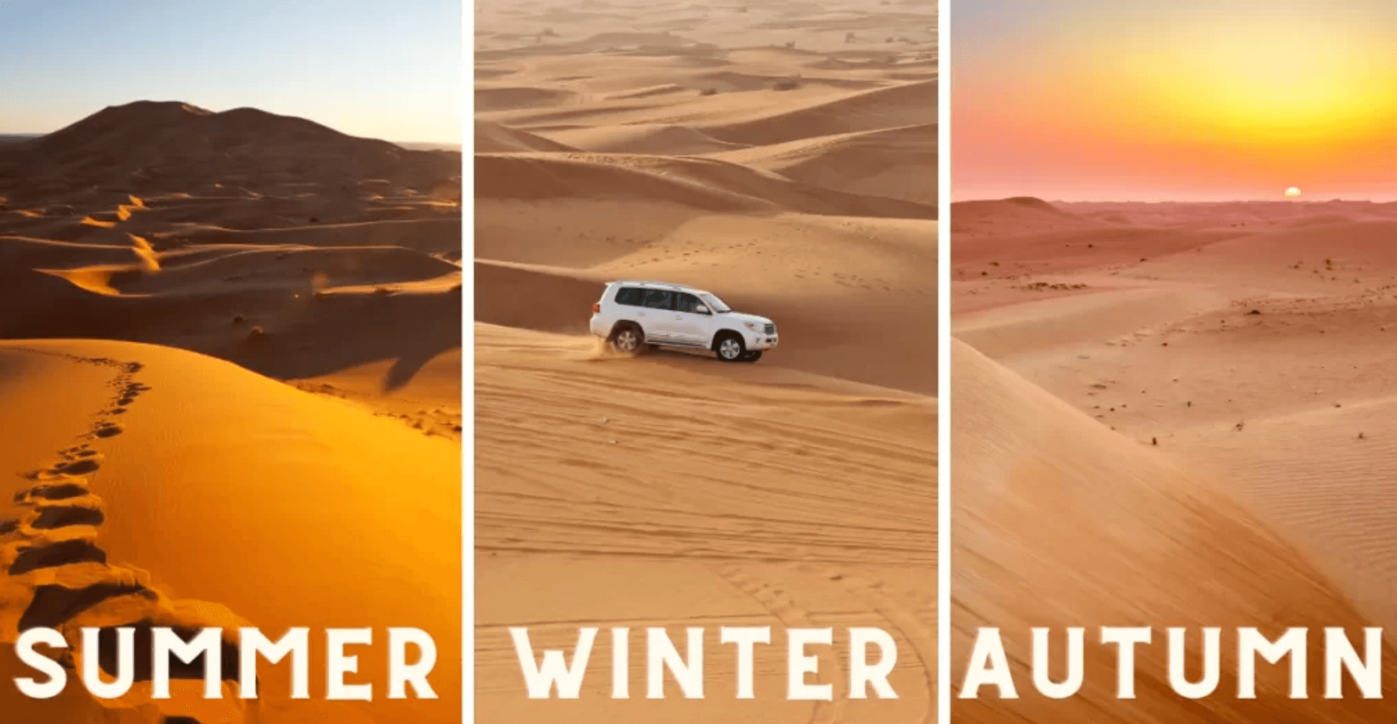 Best Time for Desert Safari