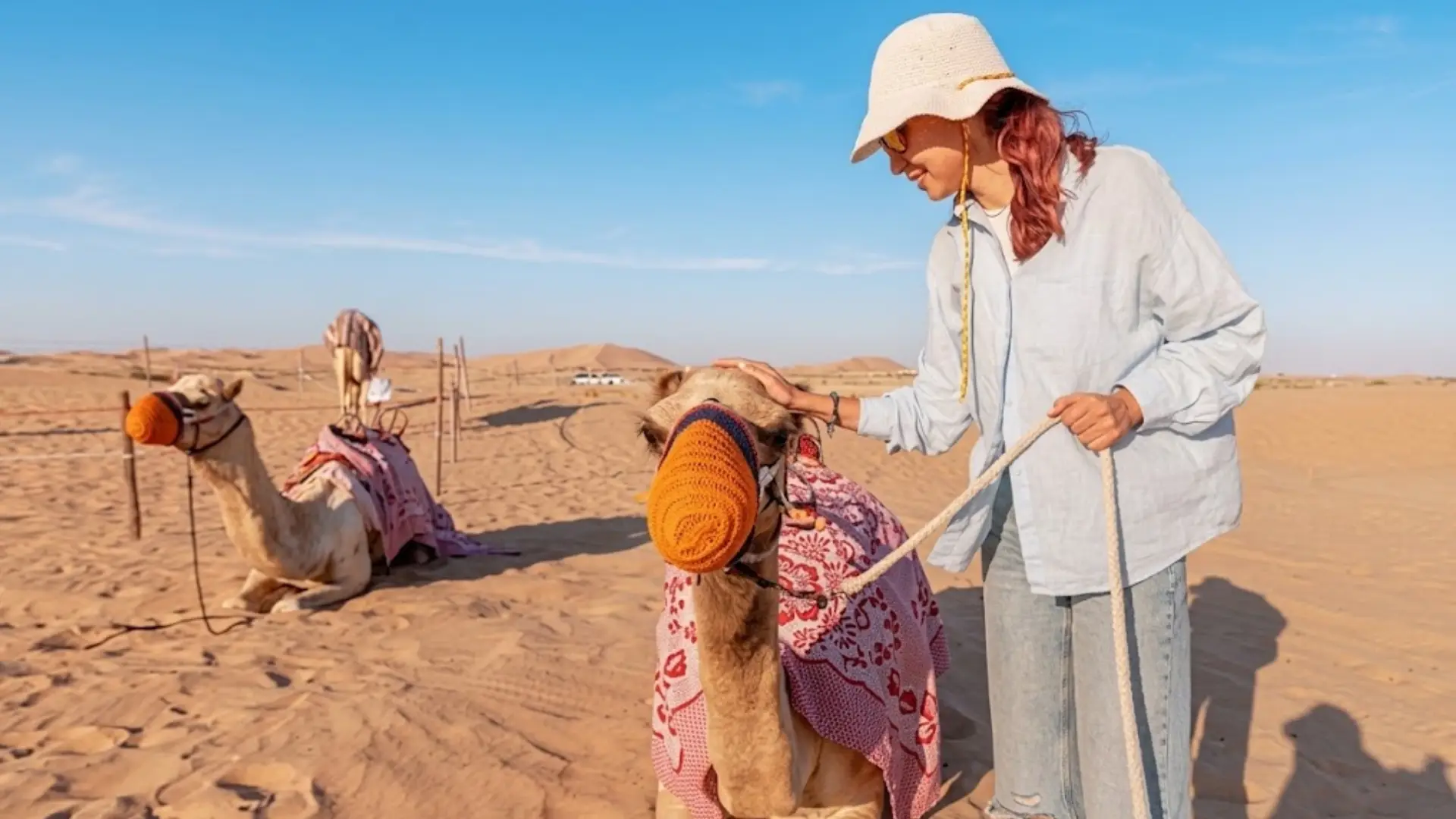 Sunrise & Sunset Camel Ride Tour Dubai - Image 3